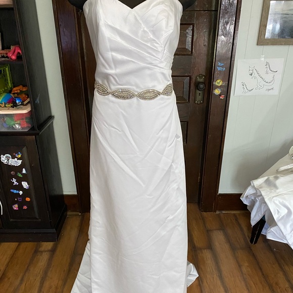 David’s Bridal  Size 16. NWOT - Picture 1 of 6